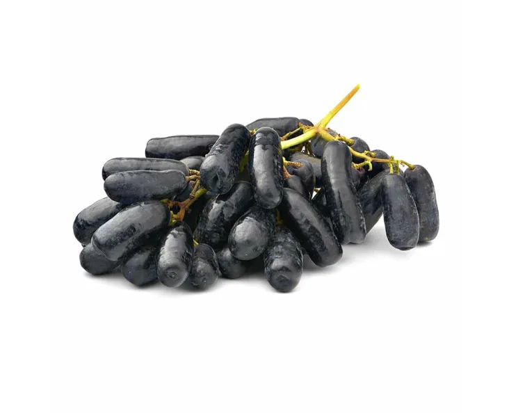 Grapes black Sweet Sapphire Cat.1, SOUTH AFRICA 