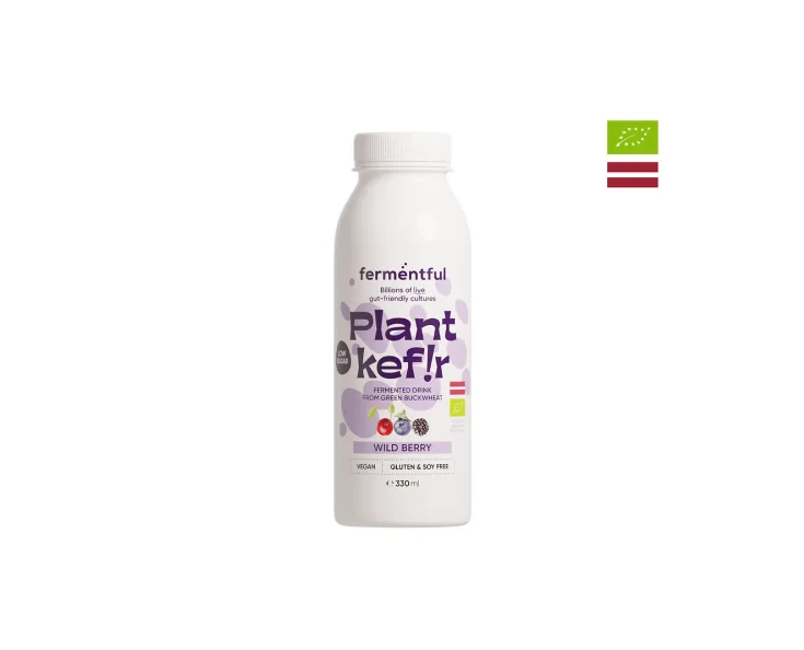 BIO fermented drink from green buckwheat, wild berry, 330ml, Fermentful