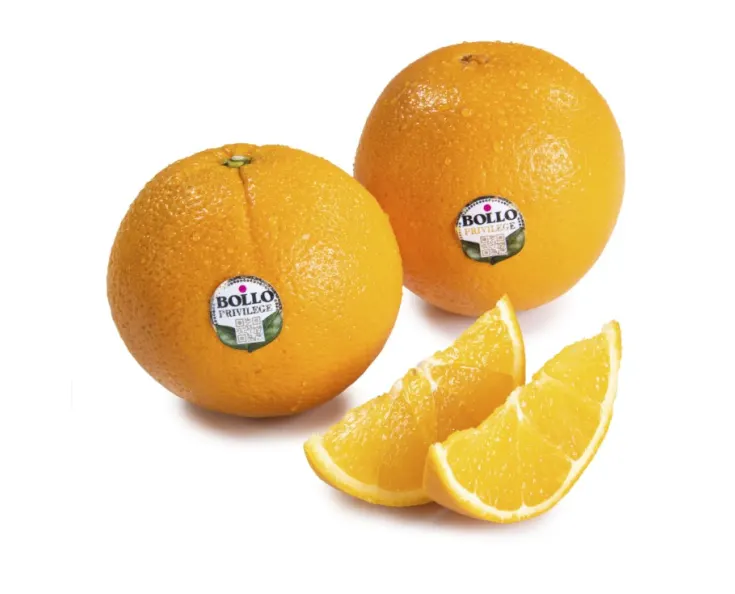 Апельсины Cambria Bollo, 1.сорт,Южная Африка