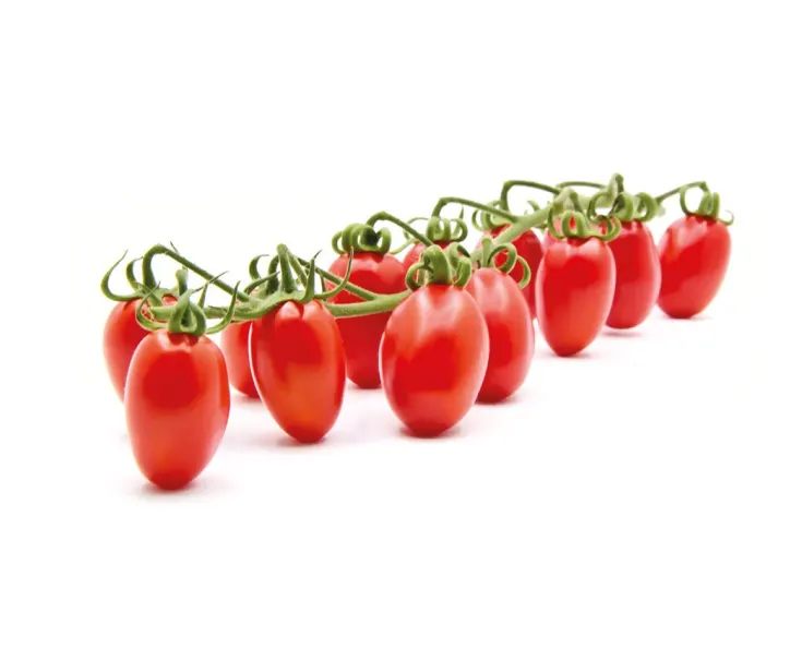 Tomatoes mini plum red Datterino Cat.1, ITALY 
