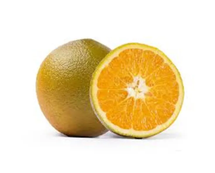 Apelsīni Choko 1/2kal, 1.šķira, Spānija 