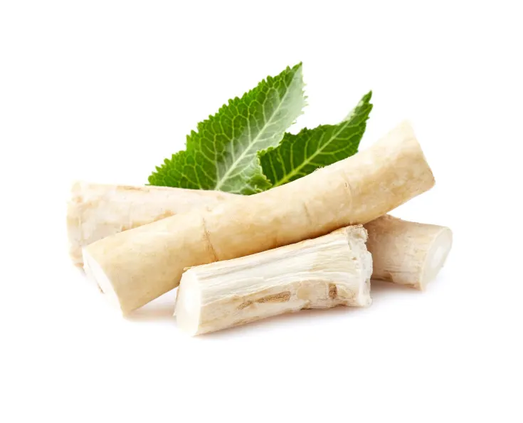 Корень хрена 2.сорт,Венгрия