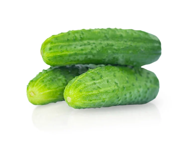 Gurķi lauka 1.šķira, Turcija 