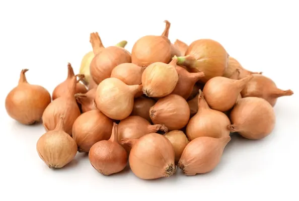 Лук севок Stutgarter 25/30кал, 500г 1.сорт,Нидерланды