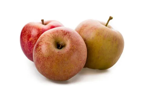 Apples Boscoop Cat.1, NETHERLANDS 
