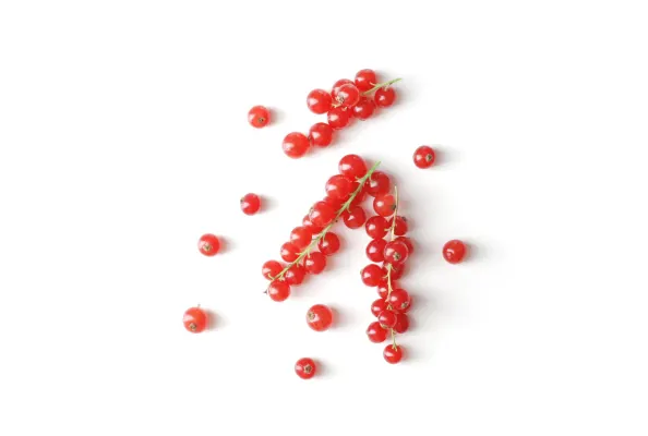 Red Currants 125g, Cat.1, NETHERLANDS 