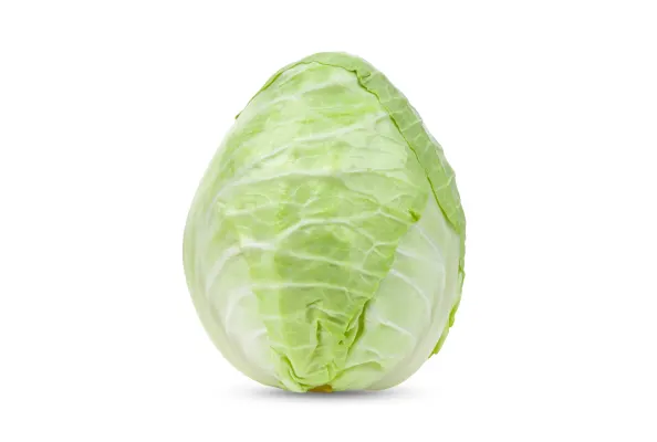 Капуста конусовидная 1.сорт,Нидерланды