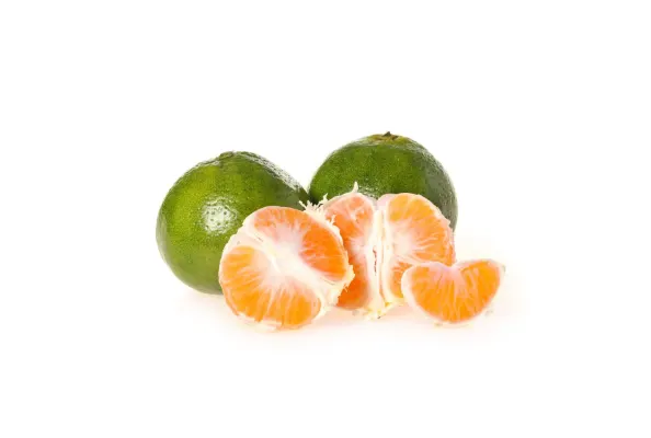 Tangerines Green Myagawa Cat.1, ITALY 