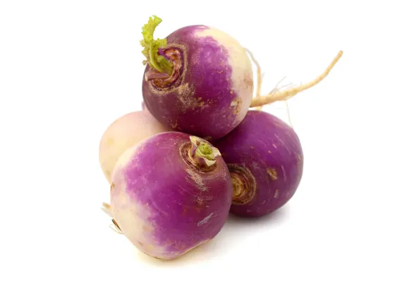 Rāceņi  2.šķira , Latvija 