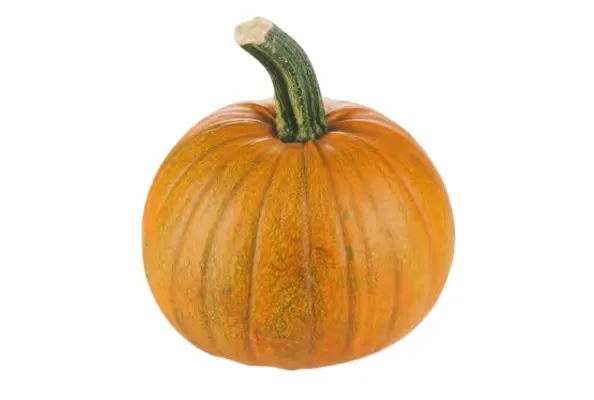 Pupmpkins Helloween Cat.2, LATVIA 