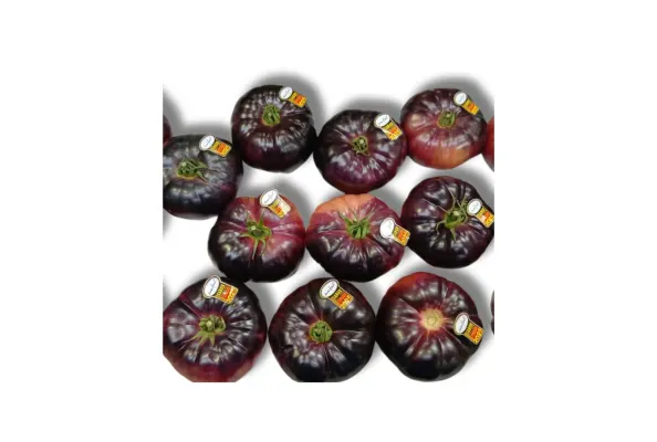 Tomāti Indigo Blue Mar Azul Extra GGkal, 1.šķira, Spānija 