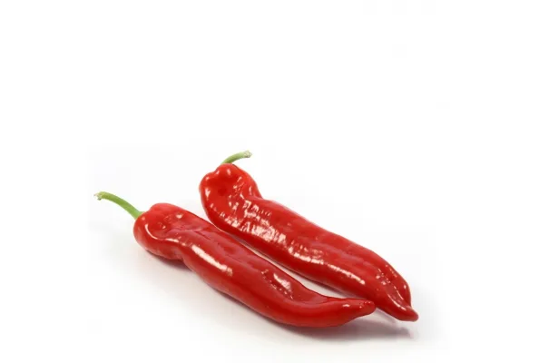 Capsicum Ramiro red Cat.1, SPAIN 
