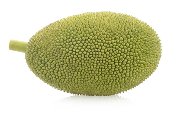 Jackfruit 1.šķira, Taizeme 