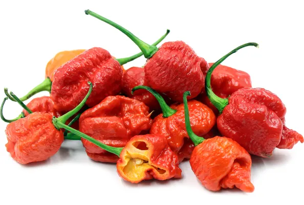 Перец острый Carolina Reaper 1.сорт,Испания