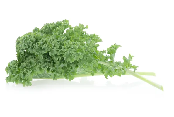 Cabbage Kale baby 125g, Cat.1, ITALY 