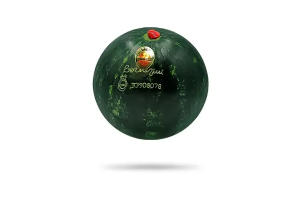 Watermelon Seedles Sweet Passion PCS Lorenzini Cat.1, ITALY 