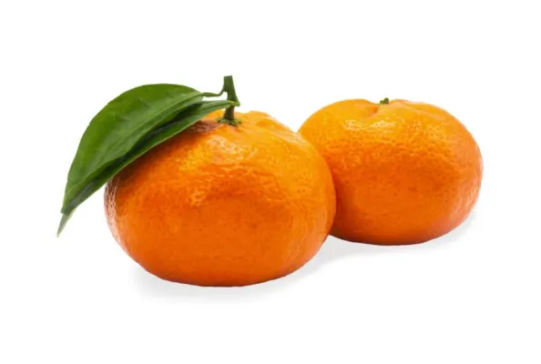 Мандарины с листьями Oronules Bollo 1X/1кал, 1.сорт,Испания