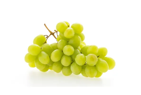 Vīnogas zaļās Dominga , 1.šķira, Spānija 