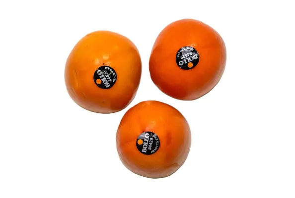 Hurma BOLLO extra 14/16 kal., 1.šķira, Spānija 