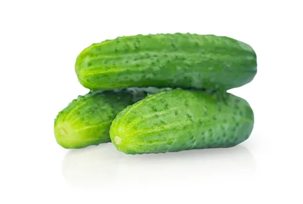 Gurķi lauka 1.šķira, Turcija 