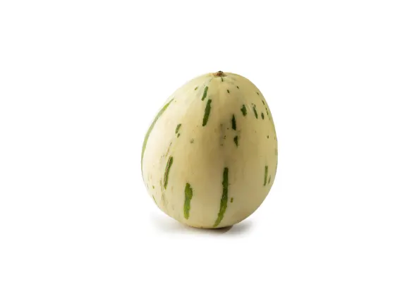 Melons Snowballl 6/7cal, Cat.1, BRAZIL 
