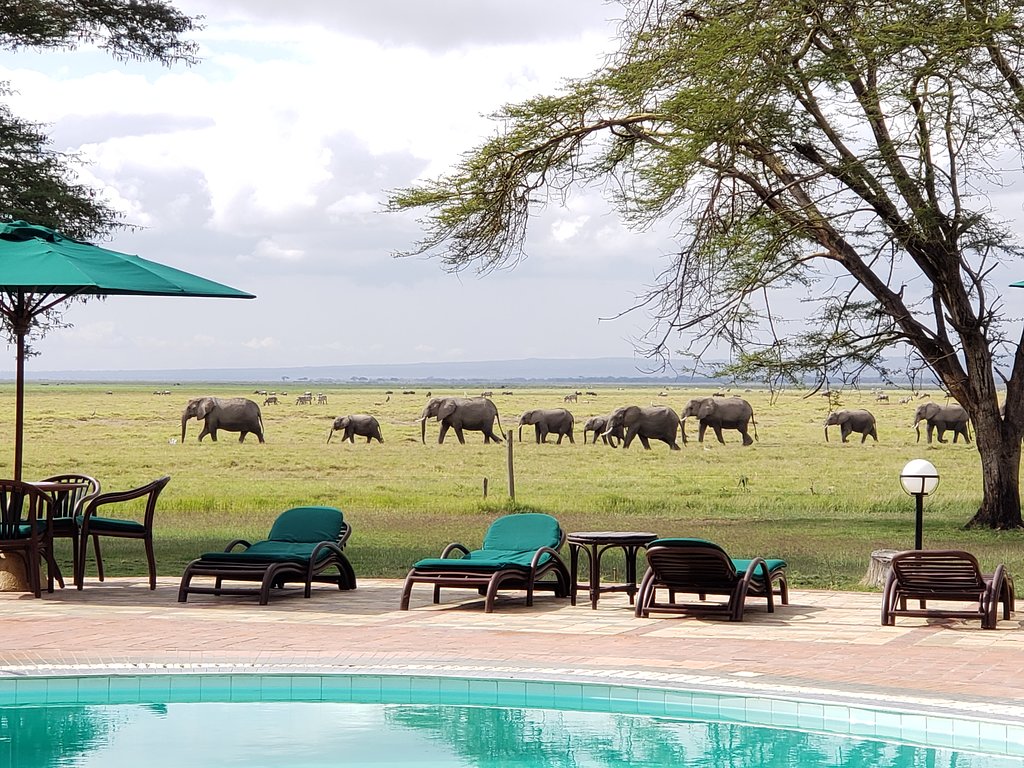 Ultimate Kenya Safari Packing Checklist for First-Time Travelers: Book Your Adventure Ready