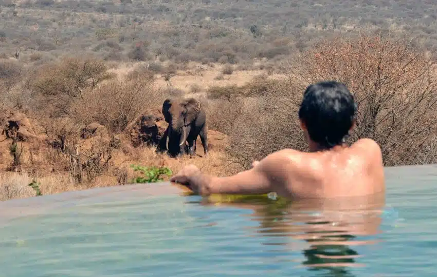 What Does a Luxury Kenya Safari Cost? 2026 Budget Guide for High-End Travelers