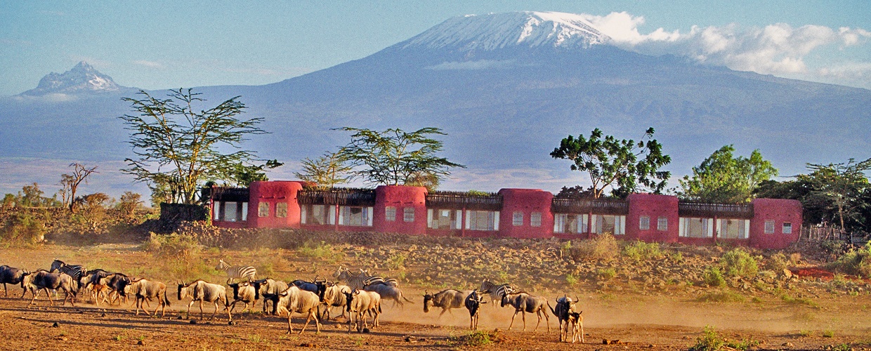Kenya vs Tanzania: Wildlife, Lodges & Where to Split Your Trip – Expert Guide