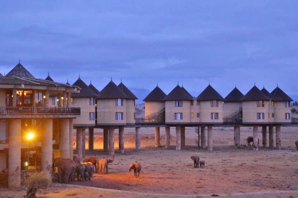 7-Day Luxury Bush & Beach: What Premium Kenya Safaris Actually Include (Complete Guide)