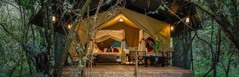 soroi mara bush camp - Image 3