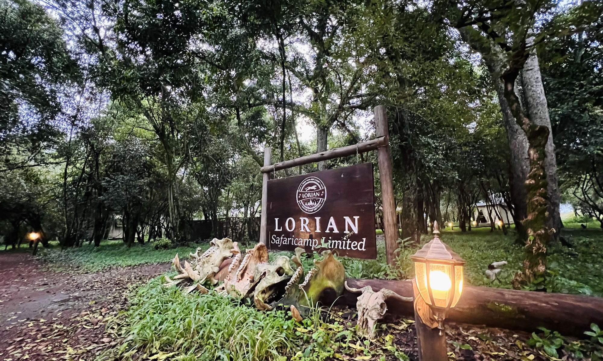 lorian safari camp - Image 6