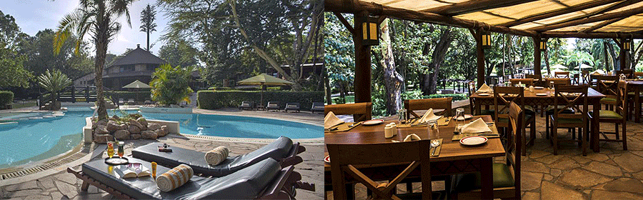 Sarova Mara Game Camp