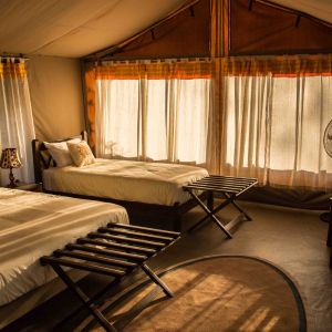 Porini Cheetah Camp - Image 6