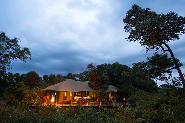 Mara Plains Camp - Image 5