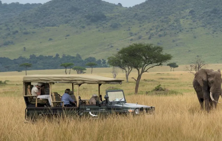 Bateleur  Camp Mara - Image 2
