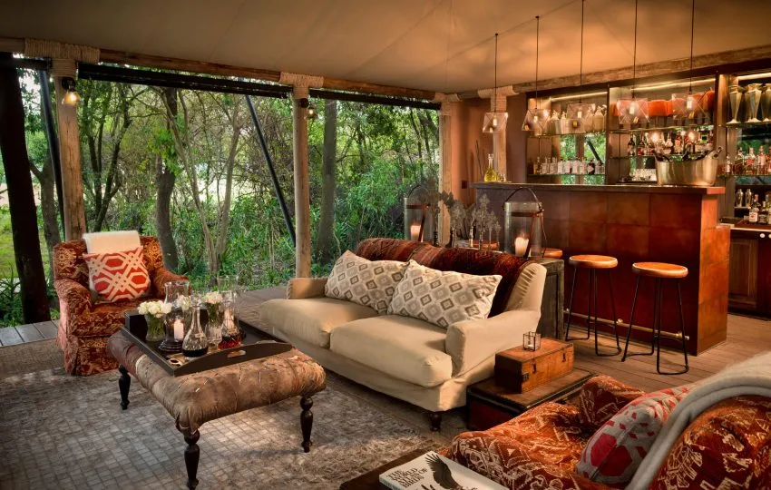 Bateleur  Camp Mara - Image 5