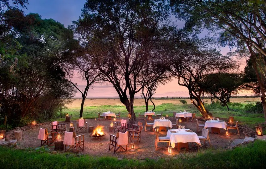 Bateleur  Camp Mara - Image 4