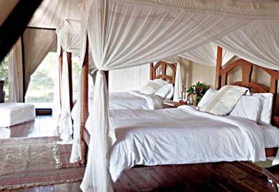 Ngare Serian - Image 5