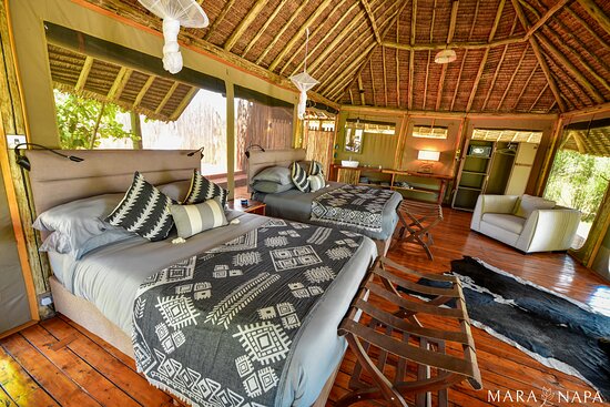 Mara Napa - Image 2
