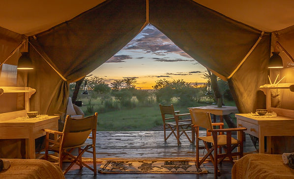 Mara Major Camp - Image 7
