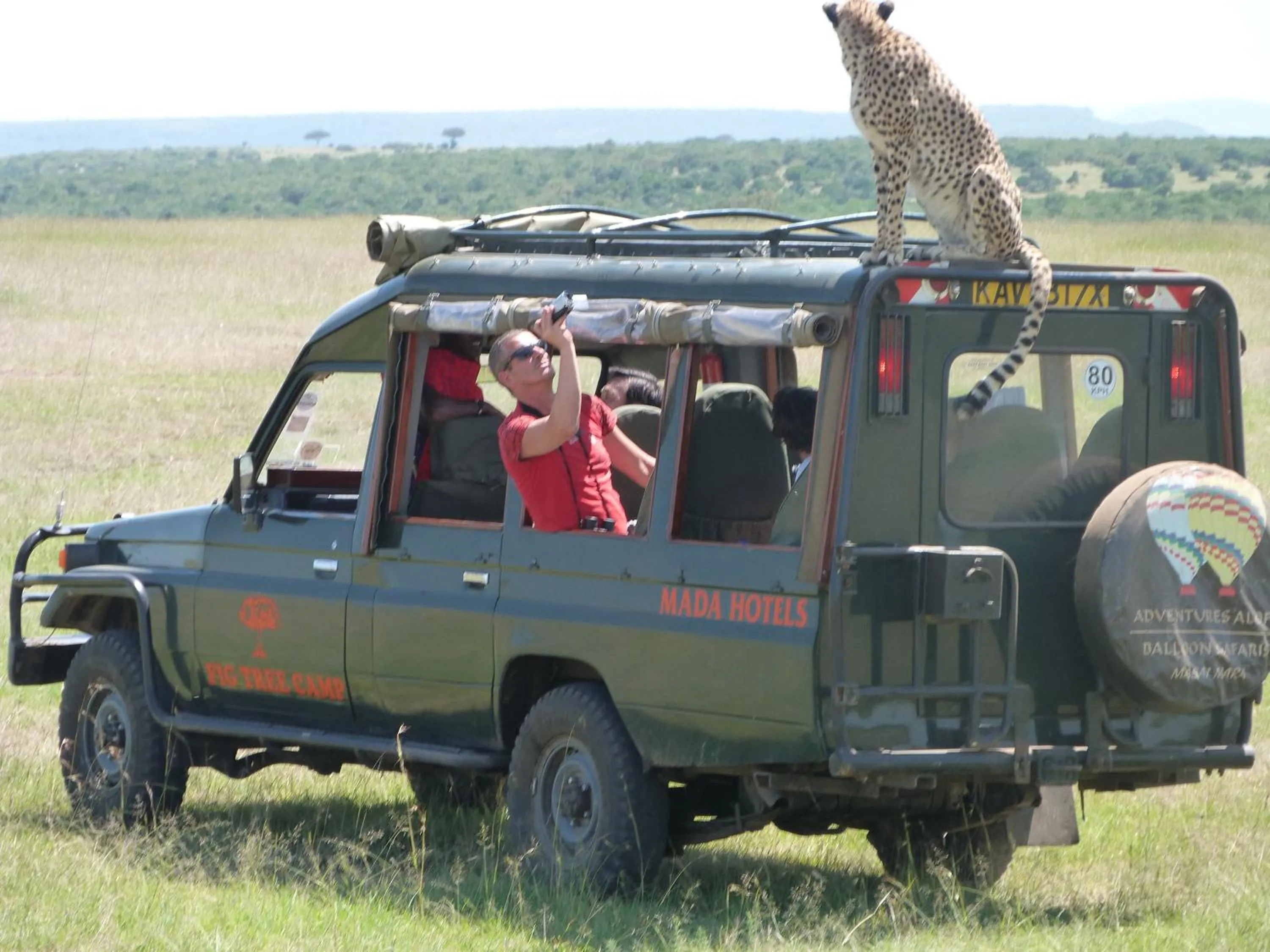 Fig Tree Camp - Maasai Mara - Image 2