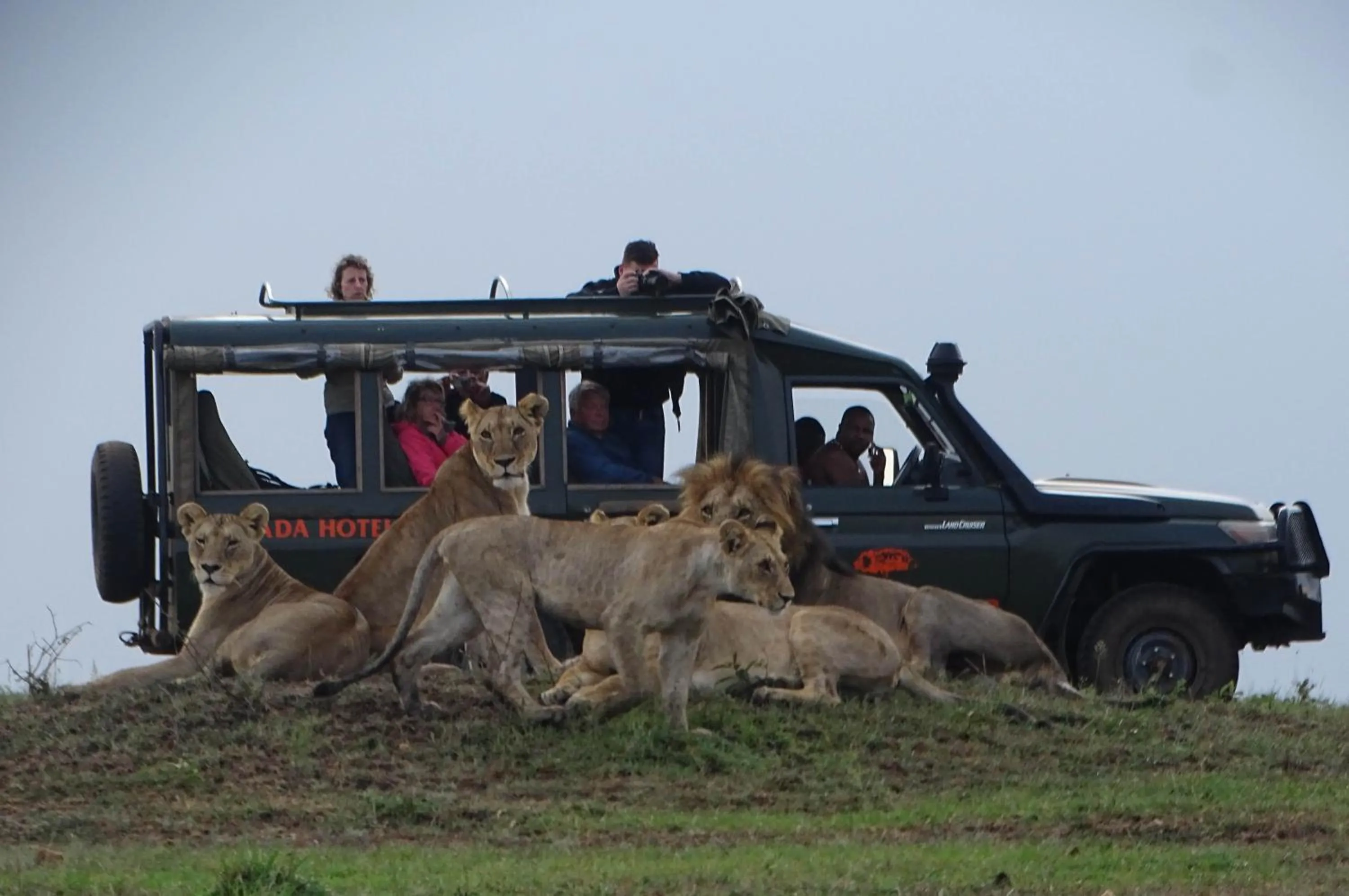 Fig Tree Camp - Maasai Mara - Image 5