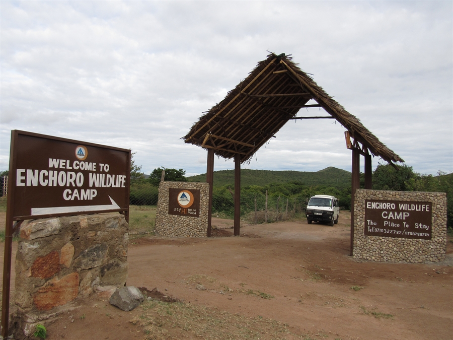 Enchoro Wildlife Camp - Image 7