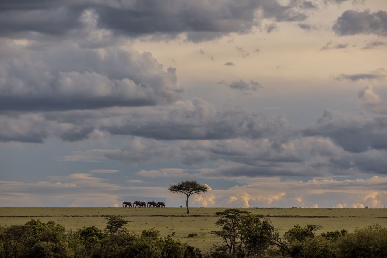 JW Marriott Masai Mara Lodge