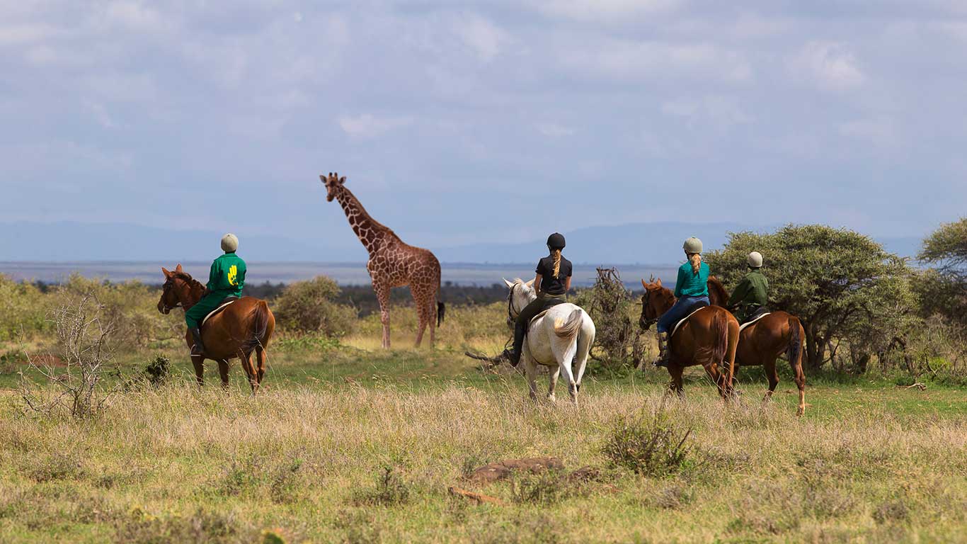 Elewana Loisaba Lodo Camp - Image 3
