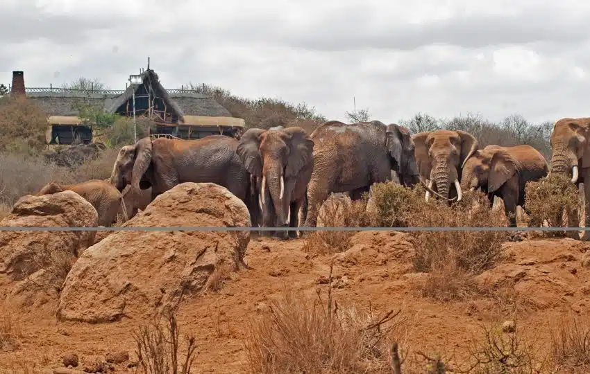 Elerai Camp - Image 2