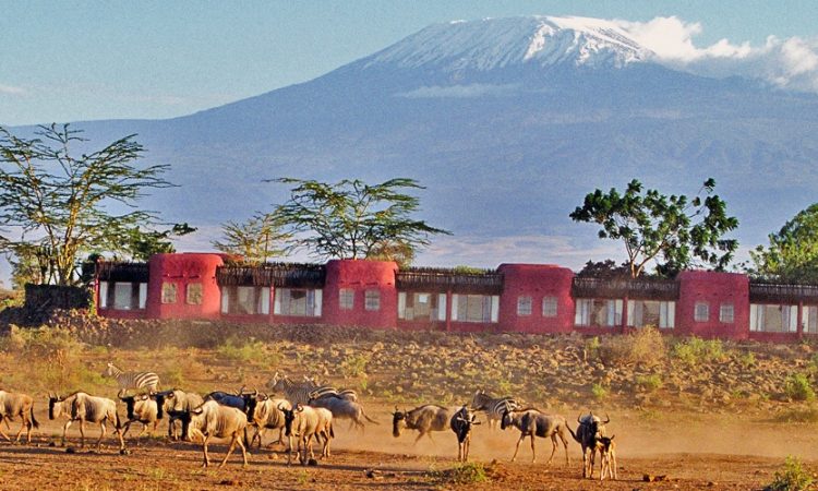 Amboseli Serena Safari Lodge - Image 3