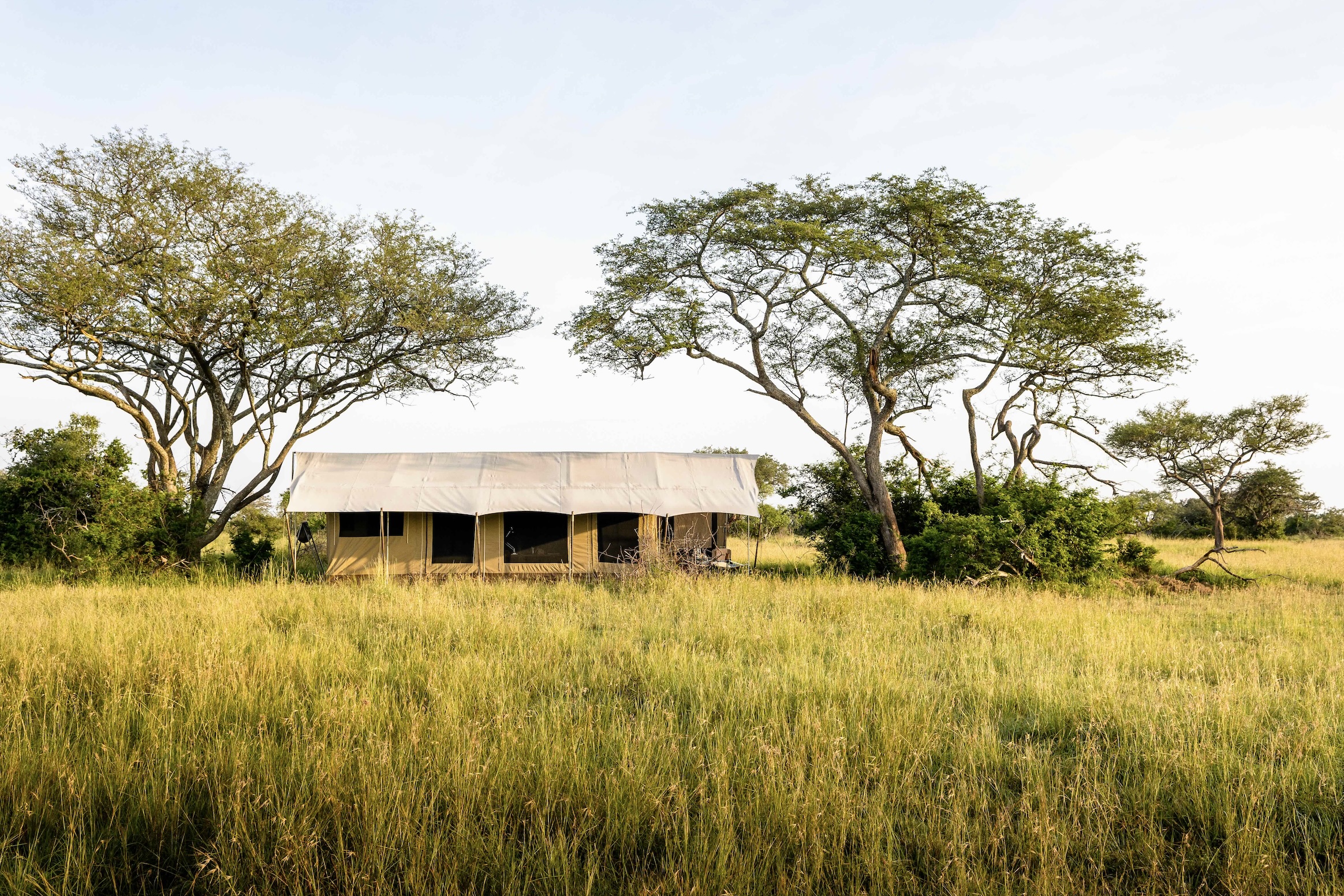 Singita Grumeti - Image 2