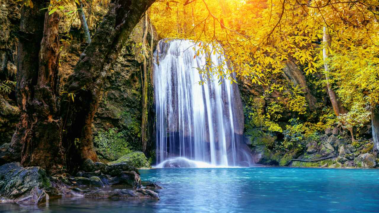 Ngare Ndare Forest Park