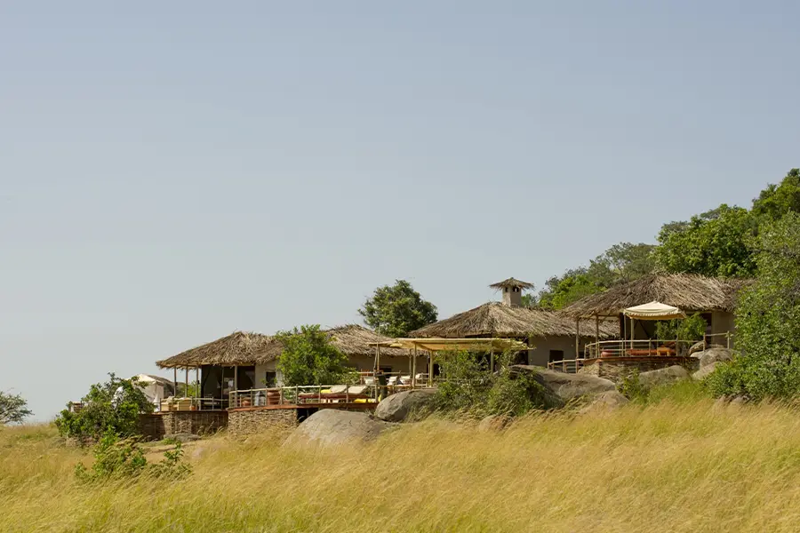 Tanzania Safari Houses: The Ultimate Multigenerational Booking & Cost Guide for 2025